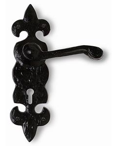 Black Antique Fleur De Lys Lever on Backplate Handles including Lock and 3 Hinges