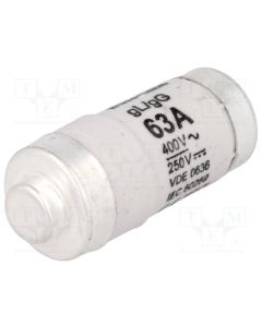 63A D02 Neozed Fuse gG 400V Ac