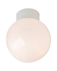 Bathroom Ceiling Globe 100W