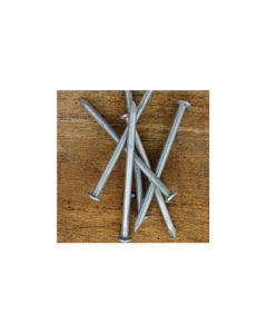 Galvanised Round Wire Nail 100mm - 1kg box