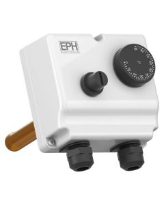 EPH Dual Thermostat with Manual Reset