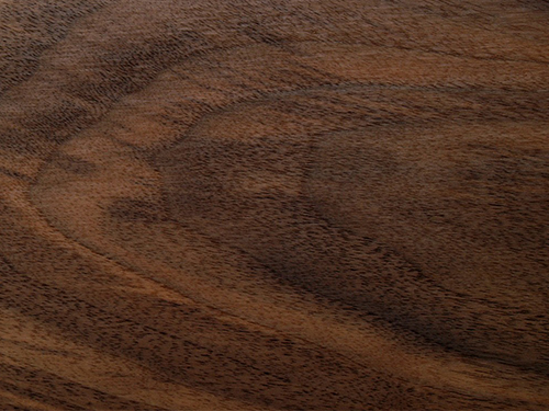 American_Black_Walnut