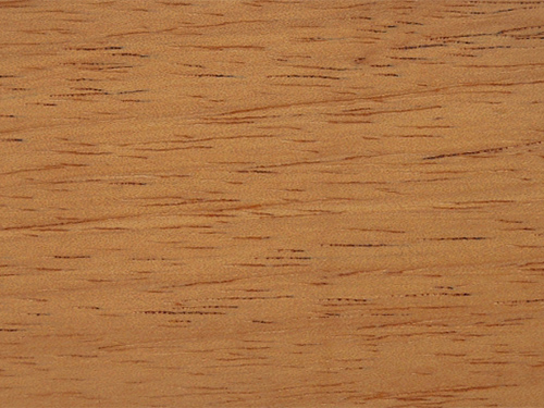 Cedar