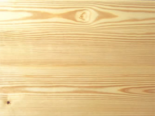 Southern_Yellow_Pine